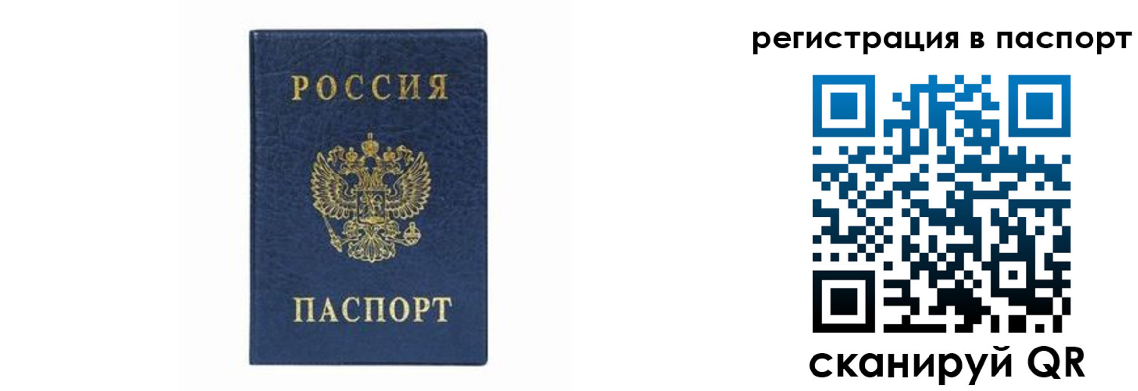 форма 3 в Новосибирской области
